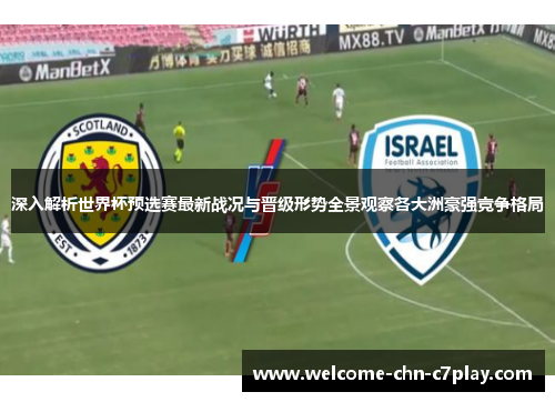 深入解析世界杯预选赛最新战况与晋级形势全景观察各大洲豪强竞争格局